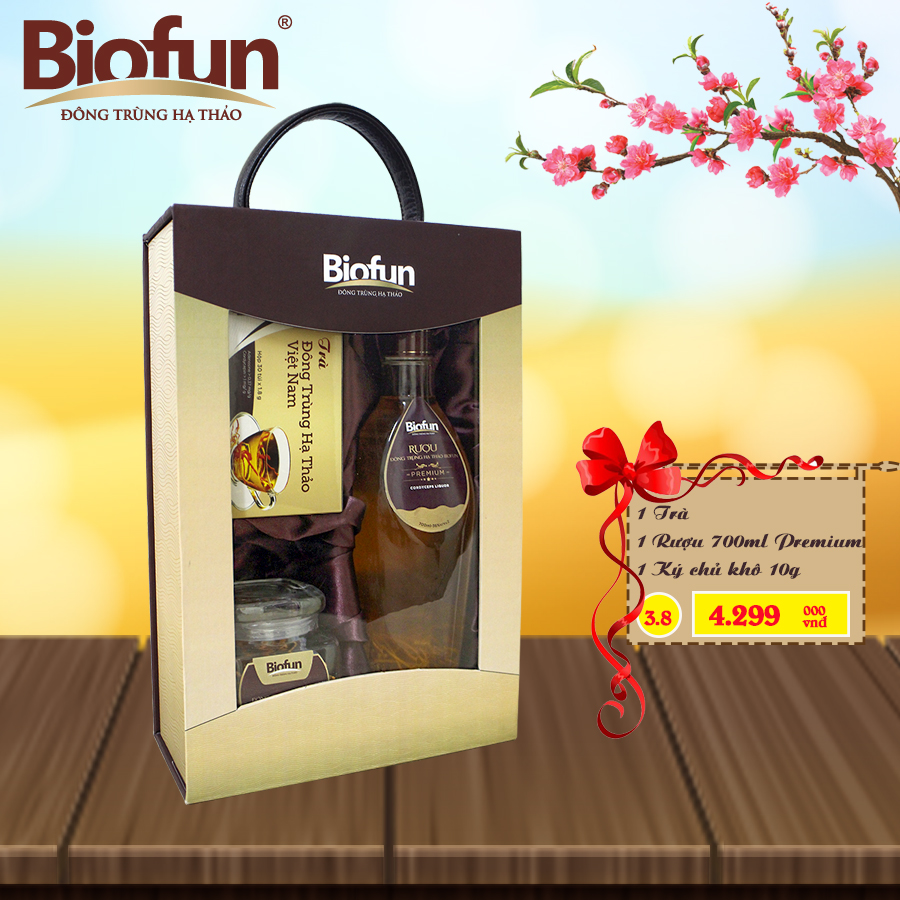 BỘ COMBO 3 SẢN PHẨM QUÀ TẾT ĐTHT BIOFUN SỐ 3.8