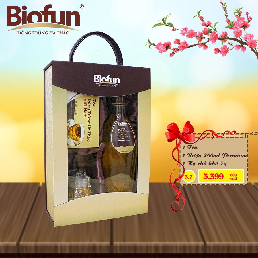 BỘ COMBO 3 SẢN PHẨM QUÀ TẾT ĐTHT BIOFUN SỐ 3.7