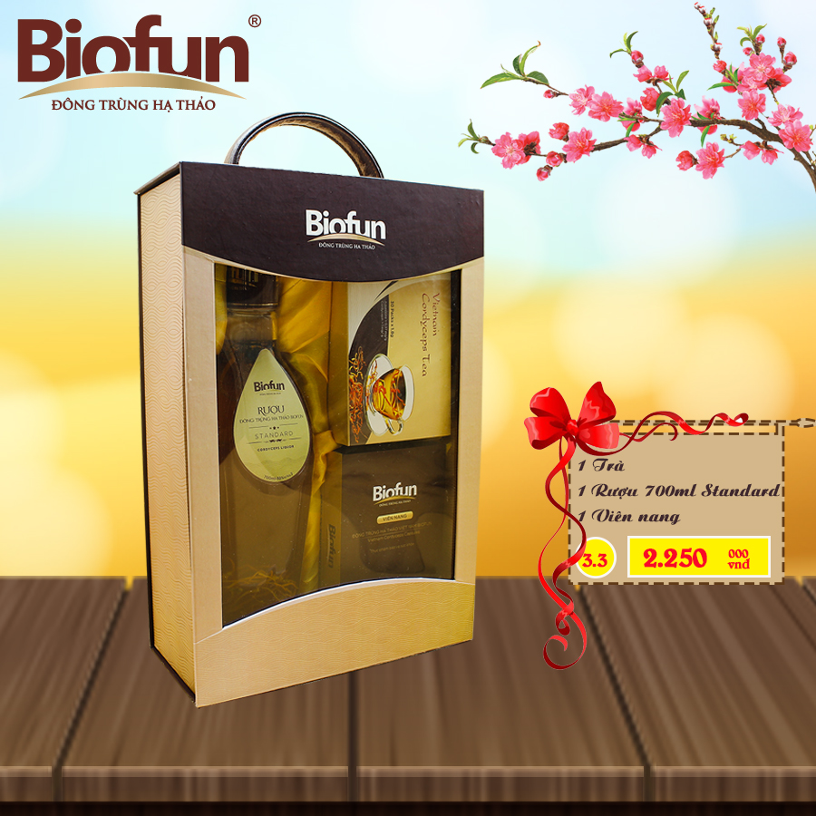 BỘ COMBO 3 SẢN PHẨM QUÀ TẾT ĐTHT BIOFUN SỐ 3.3