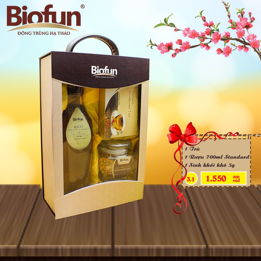 BỘ COMBO 3 SẢN PHẨM QUÀ TẾT ĐTHT BIOFUN SỐ 3.1