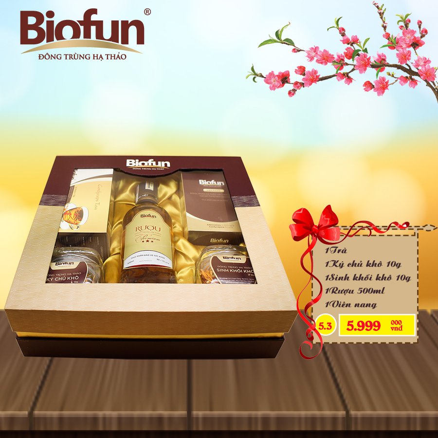 BỘ COMBO 5 SẢN PHẨM QUÀ TẾT ĐTHT BIOFUN SỐ 5.3