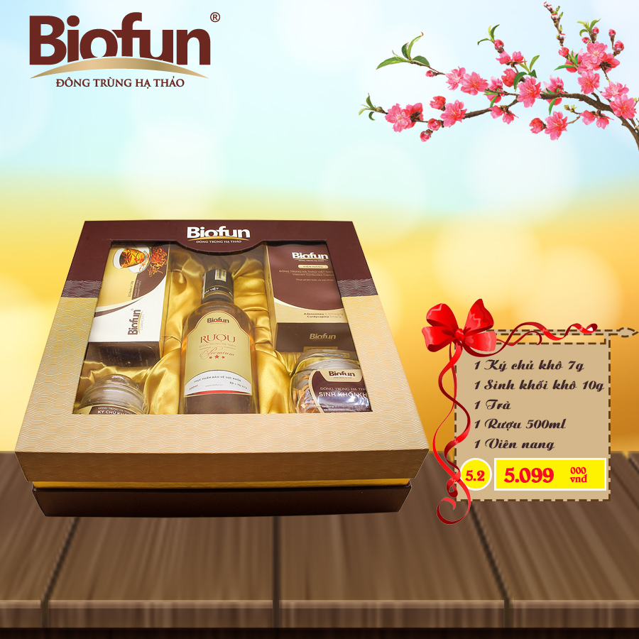 BỘ COMBO 5 SẢN PHẨM QUÀ TẾT ĐTHT BIOFUN SỐ 5.2