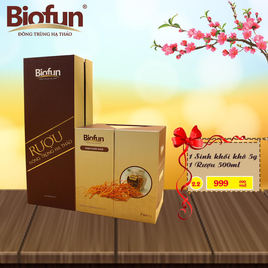 BỘ QUÀ TẶNG TẾT 2 SẢN PHẨM ĐTHT BIOFUN SỐ 2.2