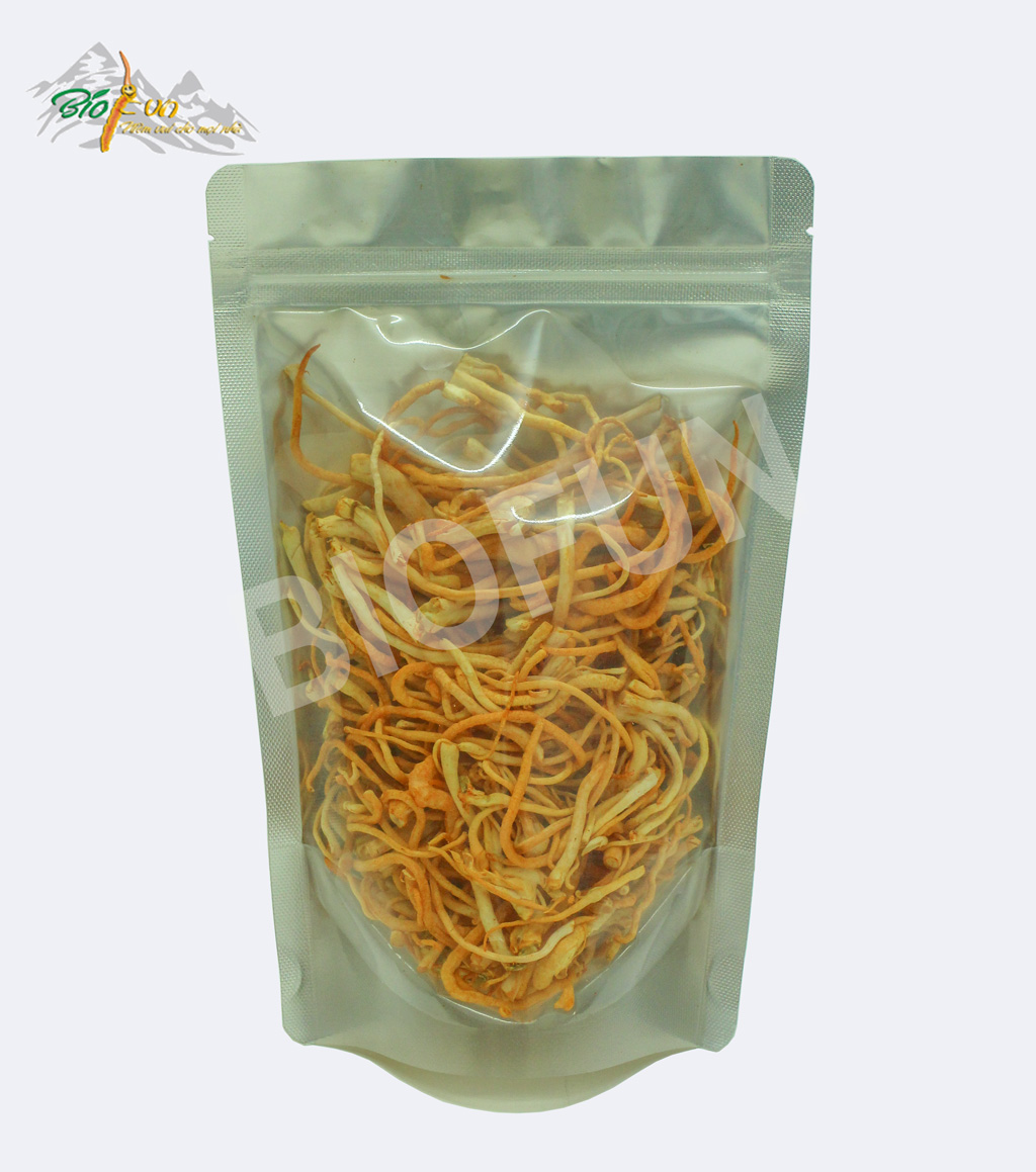 Đông Trùng Hạ Thảo Sợi Sinh Khối Tươi - BIOFUN