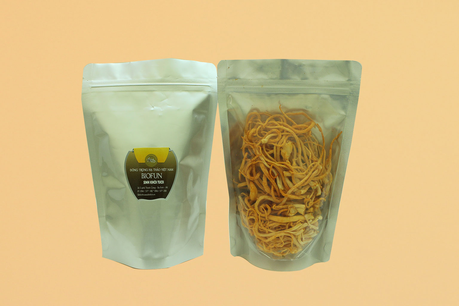 Đông Trùng Hạ Thảo Sợi Sinh Khối Tươi - BIOFUN