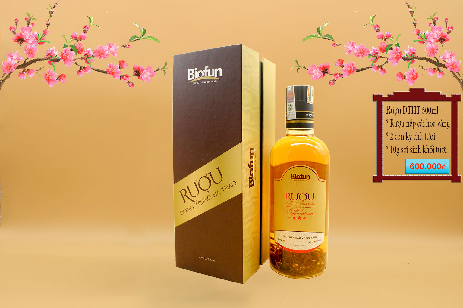 Rượu Đông Trùng Hạ Thảo BioFun