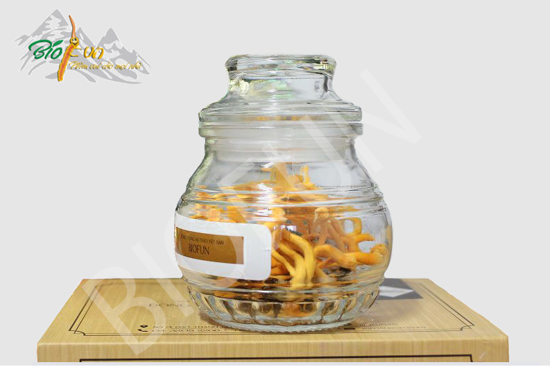 Đông Trùng Hạ Thảo Ký Chủ Tươi BIOFUN