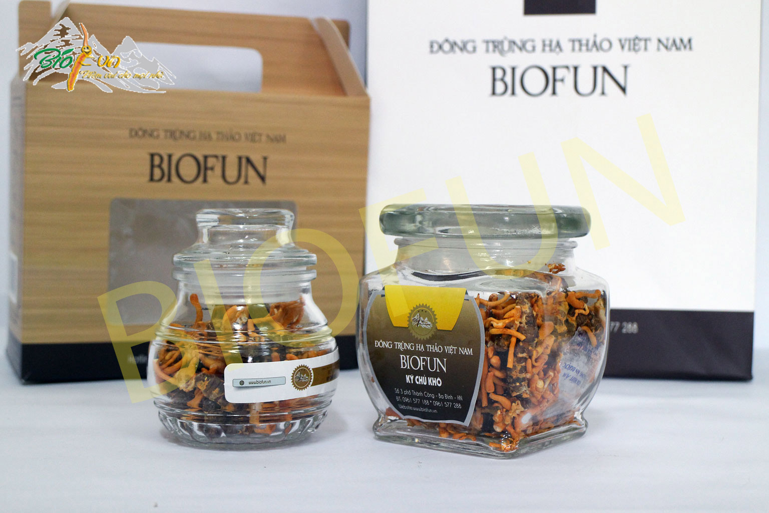 Đông Trùng Hạ Thảo Ký Chủ Khô BIOFUN