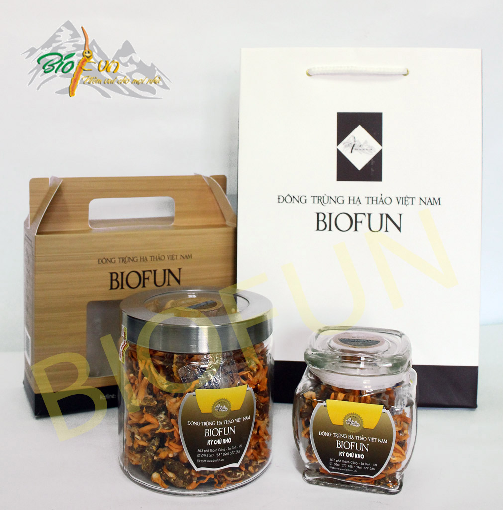 Đông Trùng Hạ Thảo Ký Chủ Khô BIOFUN
