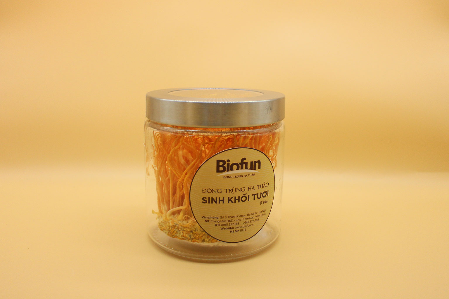 Đông Trùng Hạ Thảo Sinh Khối Tươi - BIOFUN