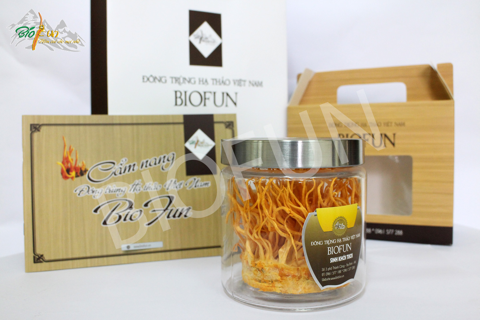 Đông Trùng Hạ Thảo Sinh Khối Tươi - BIOFUN
