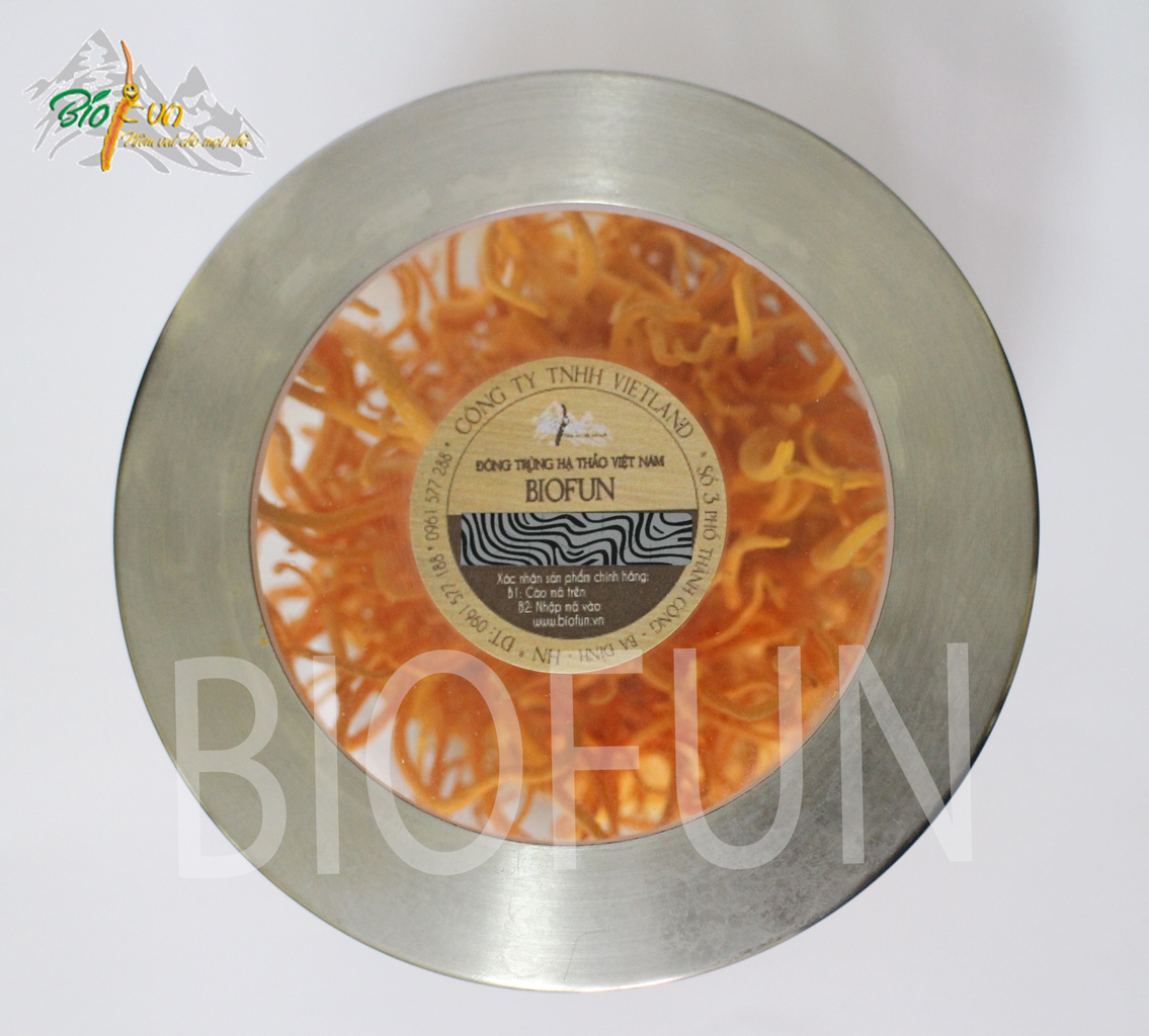 Đông Trùng Hạ Thảo Sinh Khối Tươi - BIOFUN