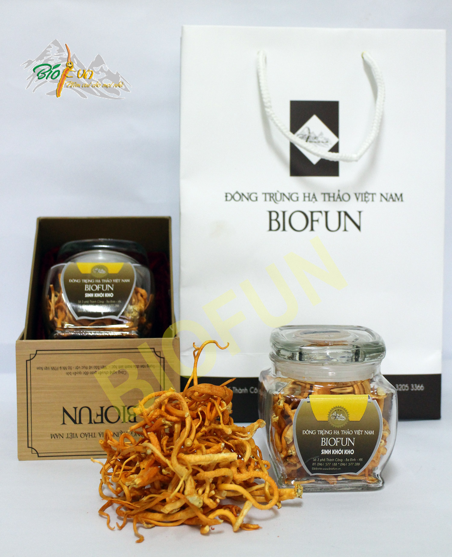 Đông Trùng Hạ Thảo Sinh Khối Khô - BIOFUN